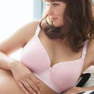 Cake Lingerie Nursing FREE SHIP Rose Mousse BRA  36C